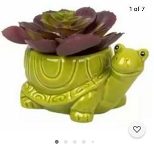 Tillie Turtle Succulent planter